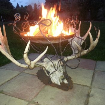 Custom Moose Head Fire Pit